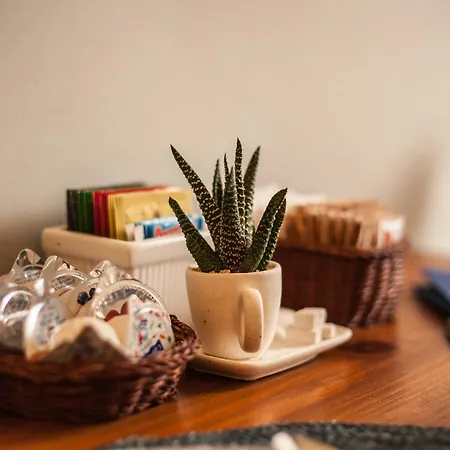 بيت ضيافة A Teatro فلورنس